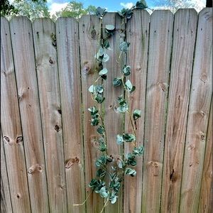 (2) 6 ft strands eucalyptus garland